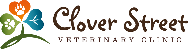 Clover St Veterinary Clinic, Chatham