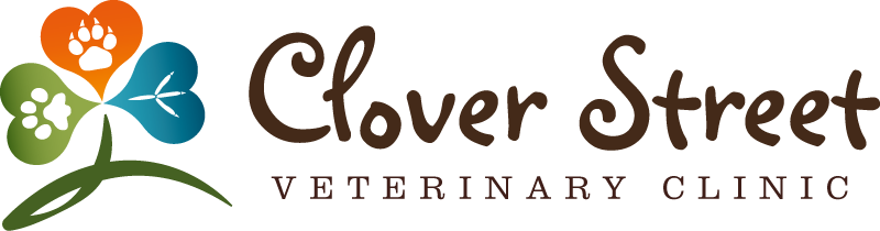 Clover Street Vets